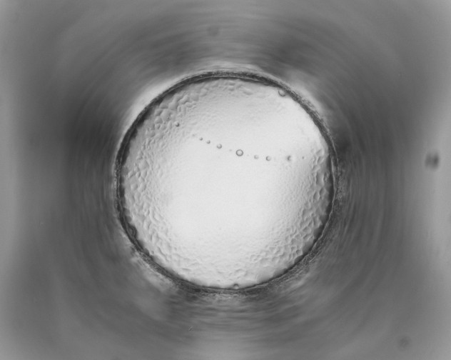 X0000089931287200707201832