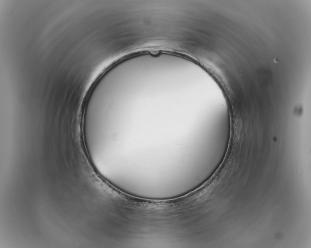 X0000089931288200707201832