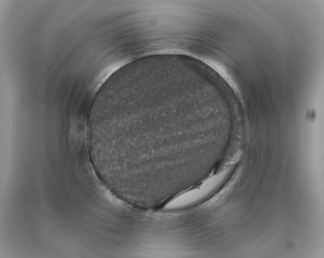 X0000089931289200707201832