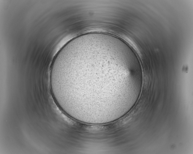 X0000089931290200707201832