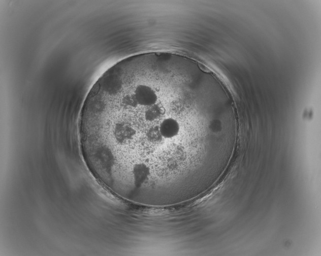 X0000089931291200707201832