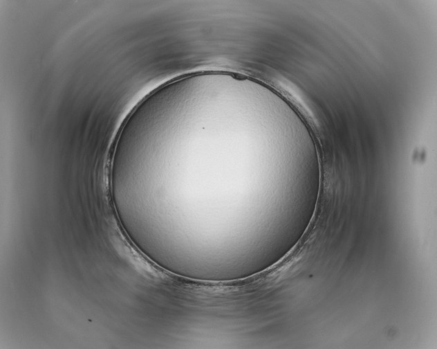 X0000089931292200707201832