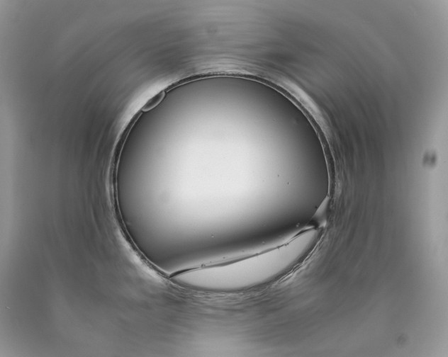 X0000089931293200707201832