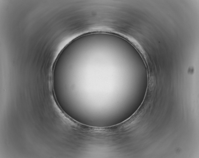 X0000089931295200707201832