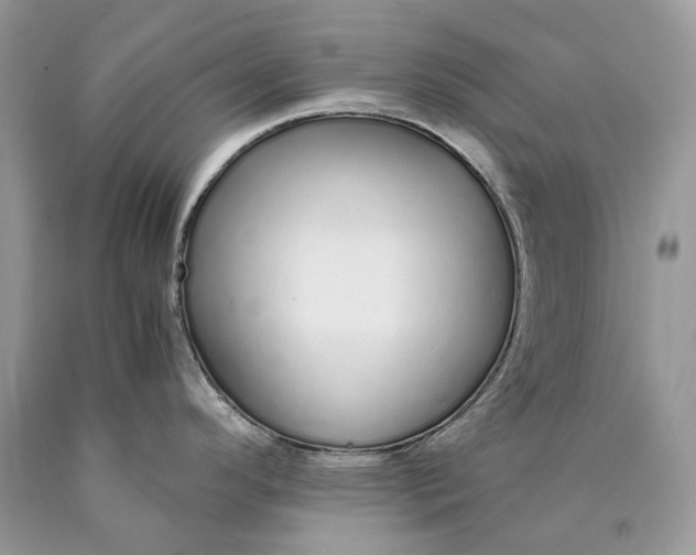 X0000089931296200707201832