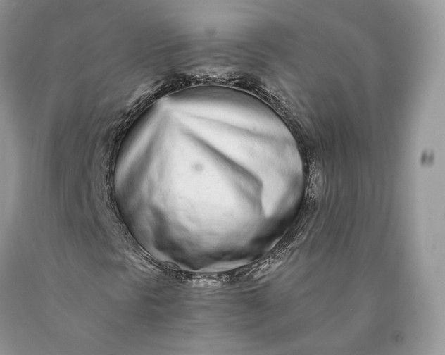 X0000089931297200707201831