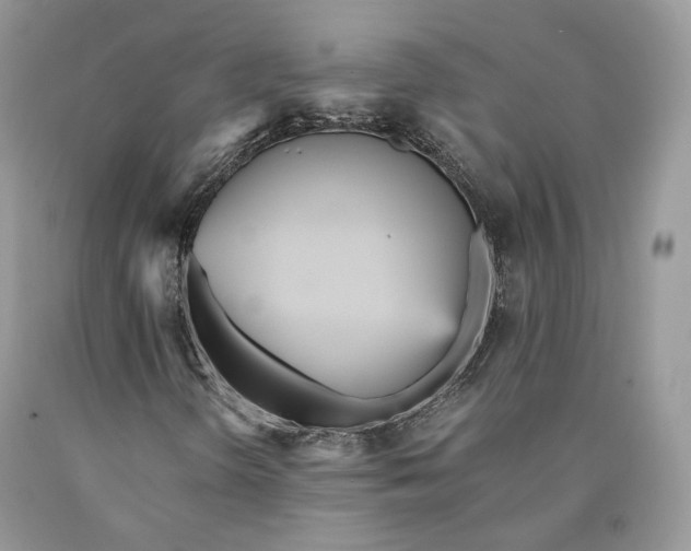 X0000089931298200707201831