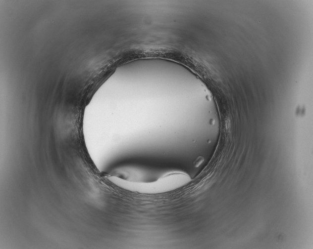 X0000089931300200707201831