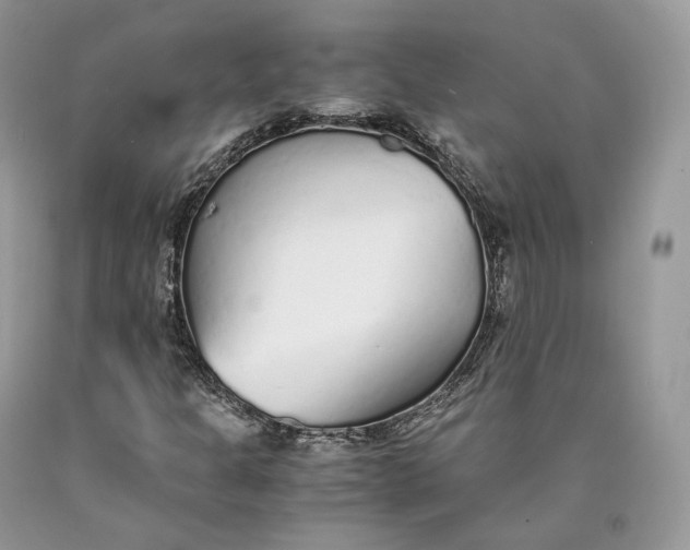 X0000089931301200707201831