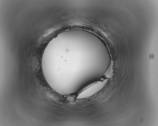 X0000089931303200707201831