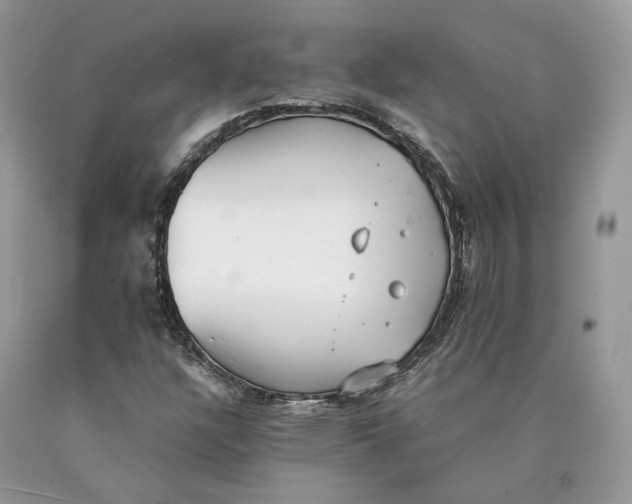 X0000089931304200707201831