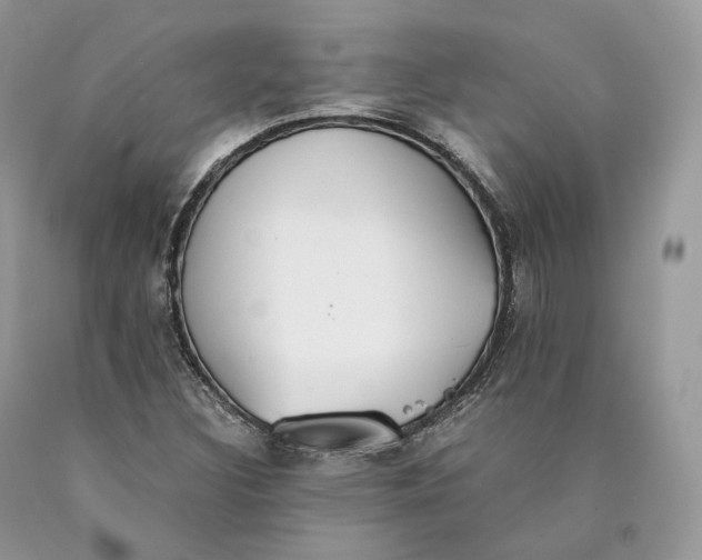 X0000089931308200707201831