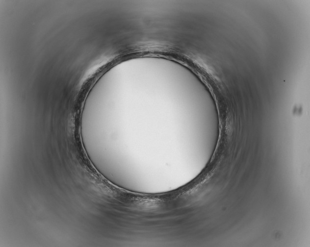 X0000089931309200707201831