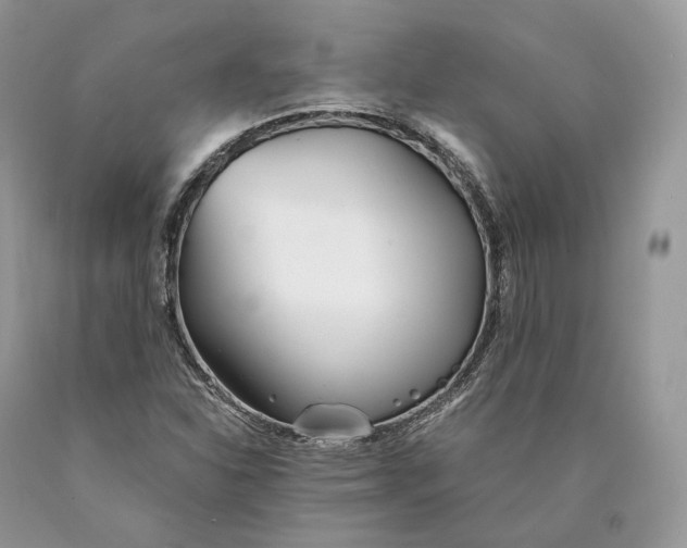 X0000089931310200707201831