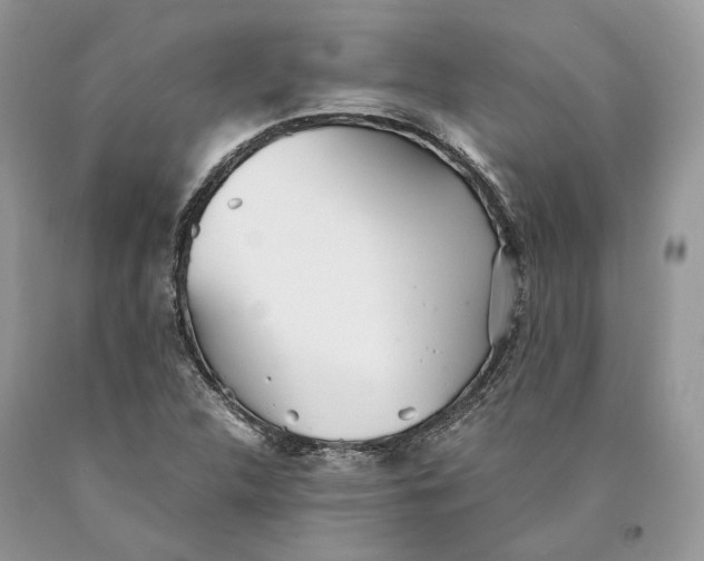 X0000089931312200707201831