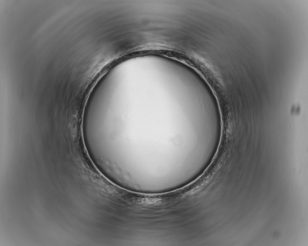 X0000089931313200707201831