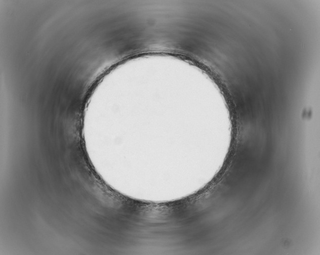 X0000089931314200707201831