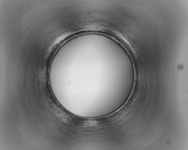 X0000089931315200707201831