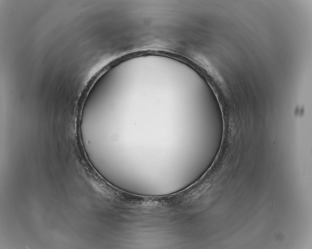 X0000089931316200707201831