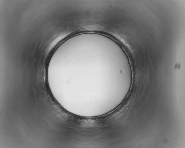 X0000089931317200707201831