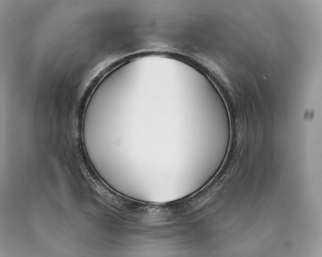 X0000089931318200707201831