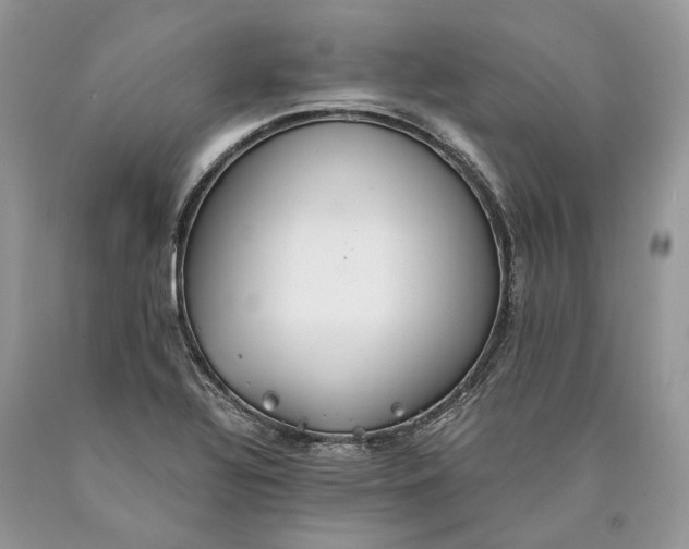 X0000089931320200707201831