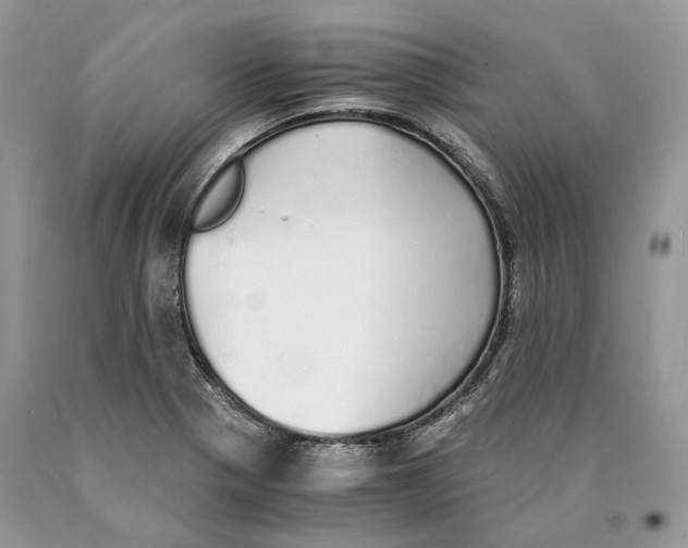 X0000089931321200707201831