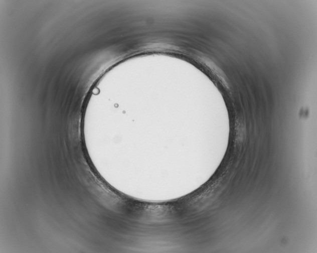 X0000089931322200707201831