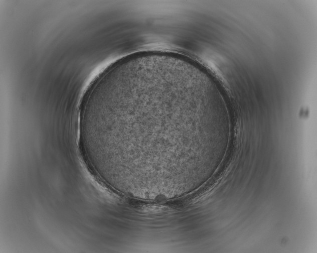 X0000089931323200707201831