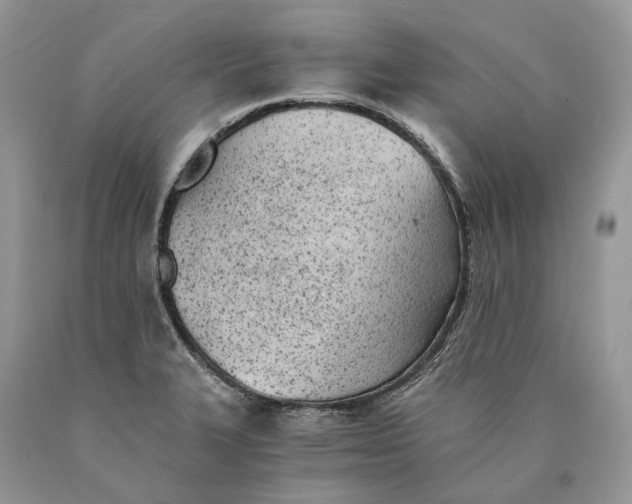 X0000089931327200707201831