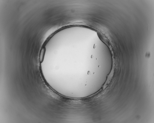 X0000089931328200707201832