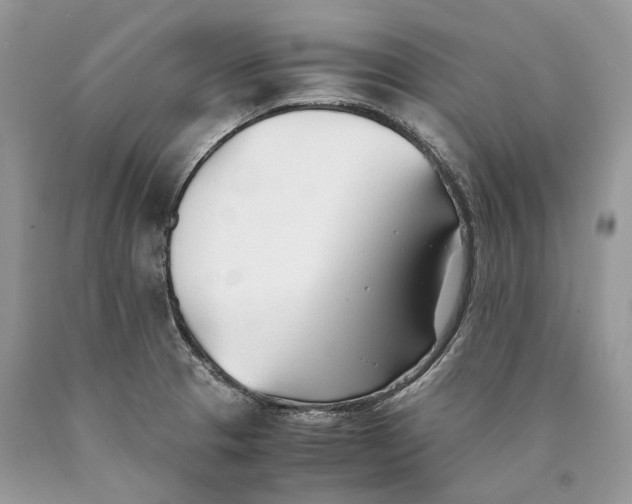 X0000089931329200707201832