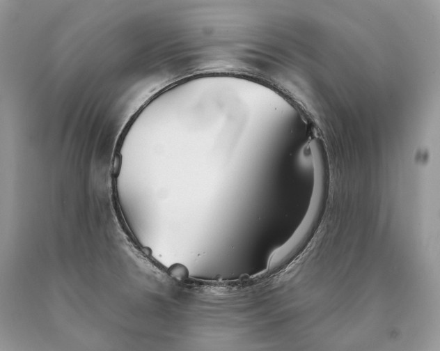 X0000089931330200707201832