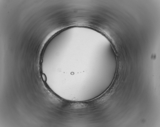 X0000089931331200707201832