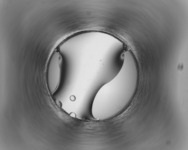 X0000089931332200707201832