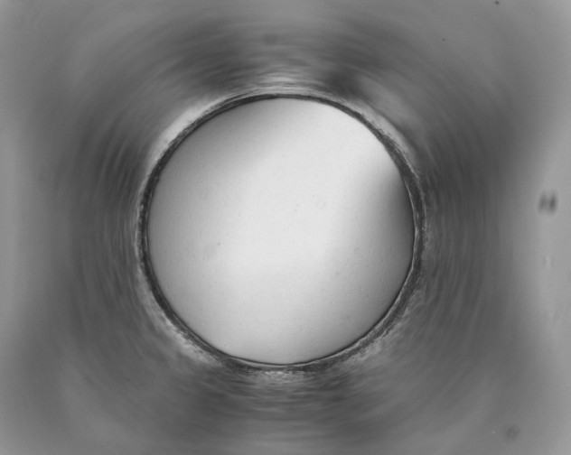 X0000089931333200707201832