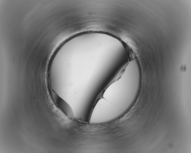 X0000089931334200707201832