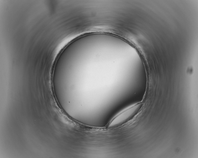 X0000089931336200707201832