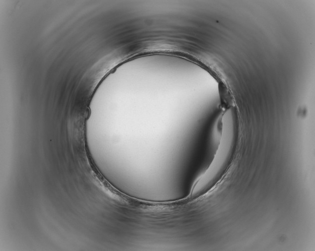 X0000089931337200707201832