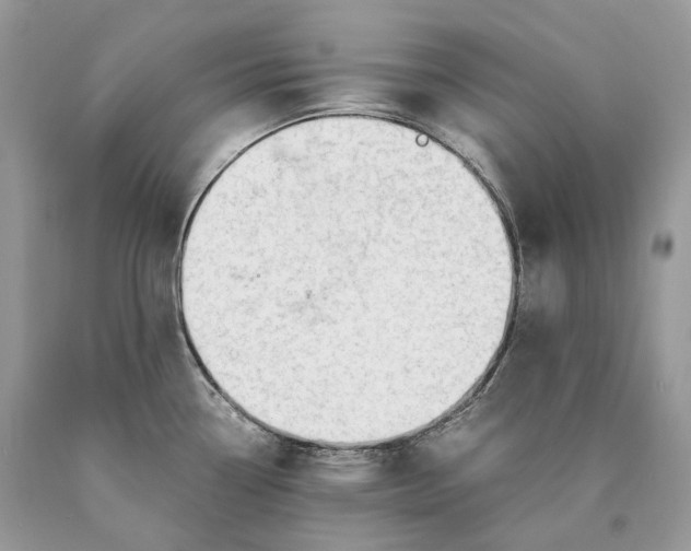 X0000089931338200707201832