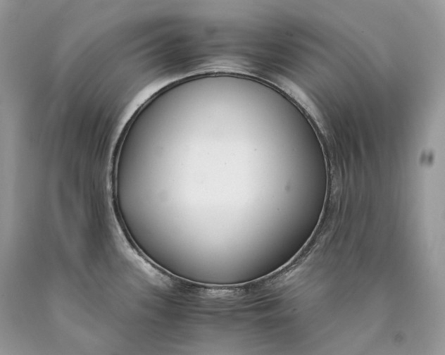 X0000089931339200707201832