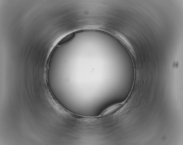 X0000089931340200707201832