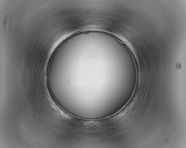 X0000089931341200707201832