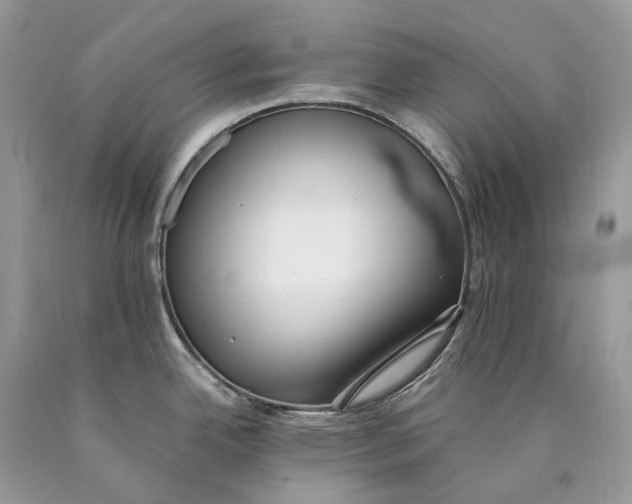 X0000089931342200707201832