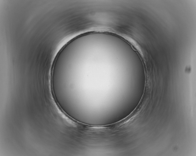 X0000089931343200707201832