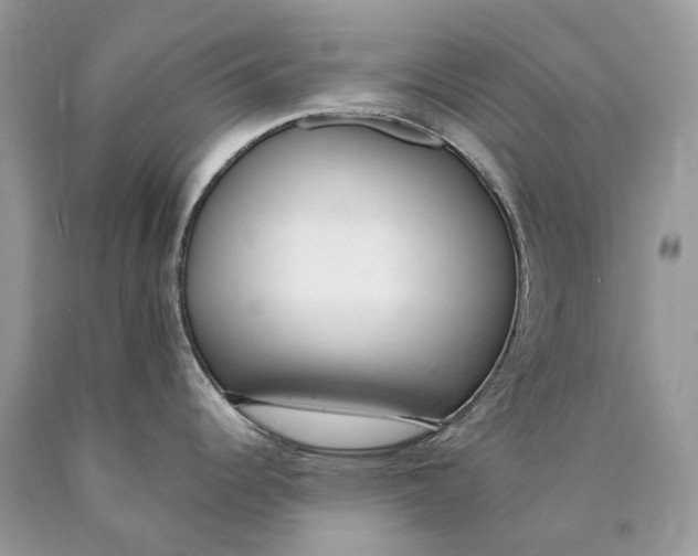 X0000089931344200707201832