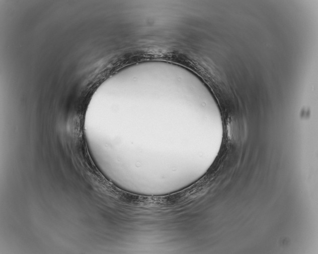 X0000089931347200707201831