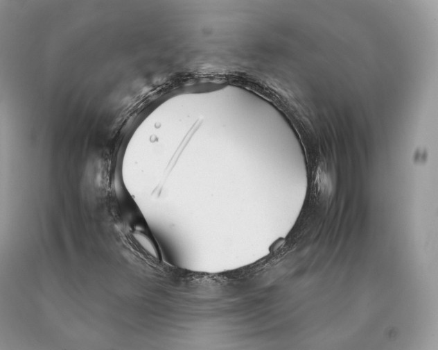 X0000089931348200707201831