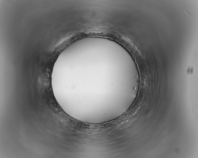 X0000089931350200707201831