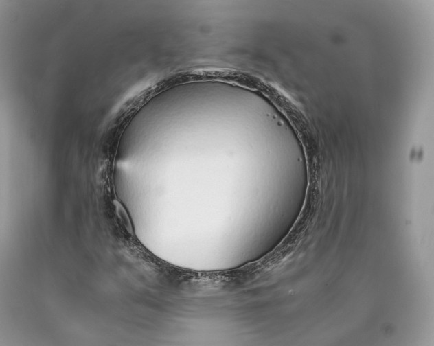 X0000089931351200707201831